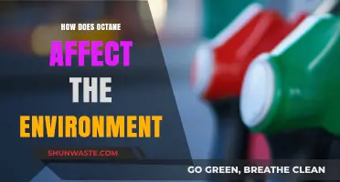 Octane's Environmental Impact: Emissions, Pollution, and Ecosystem Consequences Explained