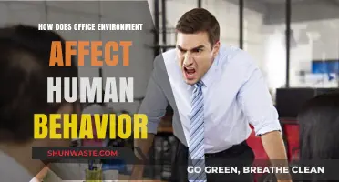 Office Environment Impact: Shaping Human Behavior and Productivity