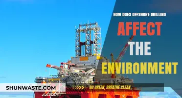 Offshore Drilling's Environmental Impact: Risks, Consequences, and Sustainability Challenges