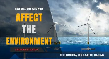 Offshore Wind's Environmental Impact: Benefits, Challenges, and Sustainability Insights