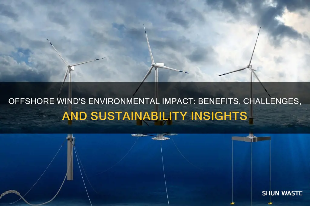 how does offshore wind affect the environment