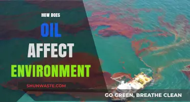 Oil's Environmental Impact: Pollution, Climate Change, and Ecosystem Destruction Explained