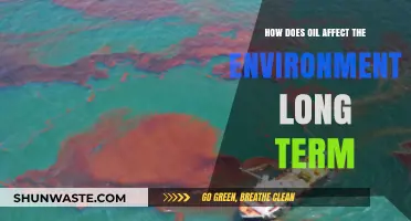 Long-Term Environmental Impacts of Oil: Pollution, Climate, and Ecosystems