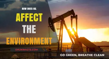 Oil's Environmental Impact: Pollution, Climate Change, and Ecosystem Destruction Explained