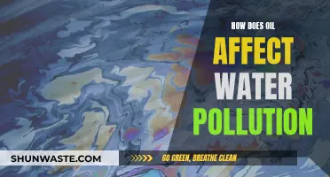 Oil's Impact: Understanding Water Pollution