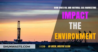 Environmental Consequences of Oil and Natural Gas Extraction Explained
