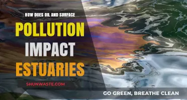 Oil and Surface Pollution: Estuaries at Risk
