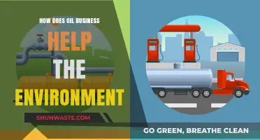 Sustainable Energy: How the Oil Industry Supports Environmental Initiatives