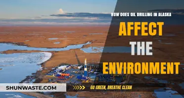 Alaska's Oil Drilling: Environmental Impacts and Ecosystem Consequences Explored