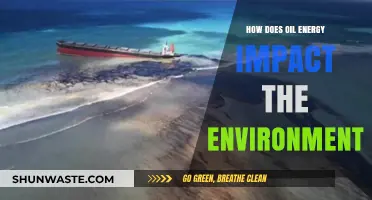 Oil Energy's Environmental Impact: Pollution, Climate Change, and Ecosystem Destruction