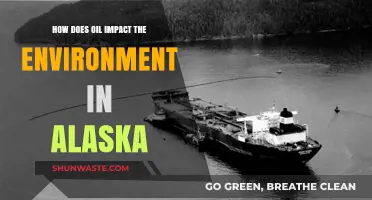 Alaska's Environmental Crisis: Oil's Devastating Impact on Land and Wildlife