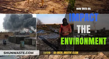 Oil's Environmental Impact: Pollution, Climate Change, and Ecosystem Destruction Explained