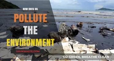 Oil's Environmental Impact: A Toxic Legacy
