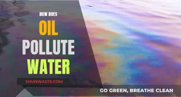 The Dark Side of Oil: How It Contaminates Our Waters