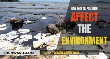 Oil Pollution's Environmental Impact: Understanding the Devastating Effects