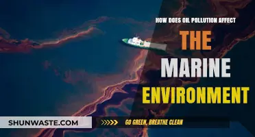 Oil Pollution's Devastating Impact on Marine Ecosystems and Wildlife