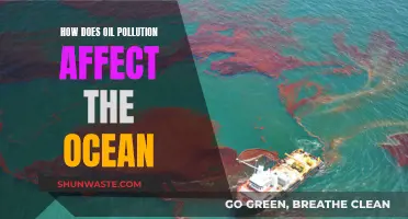 Oil Pollution's Impact on the Ocean's Ecosystem