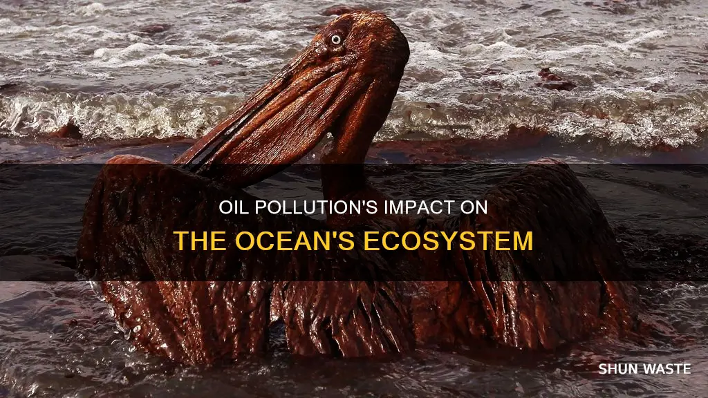 how does oil pollution affect the ocean