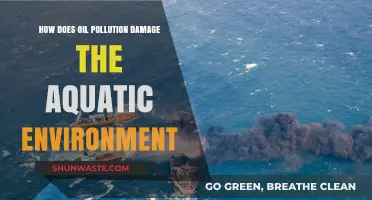 Oil Pollution: Aquatic Environment's Worst Nightmare