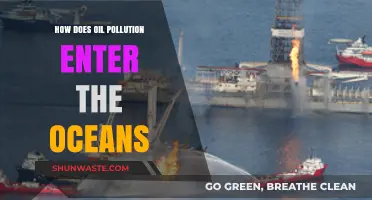 Oil Pollution: Oceans at Risk