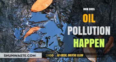 Oil Pollution: Understanding the Causes and Impact
