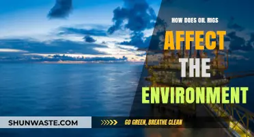 Oil Rigs' Environmental Impact: Pollution, Wildlife, and Ecosystem Disruption Explained