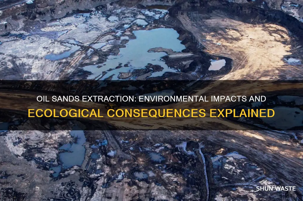 how does oil sands affect the environment