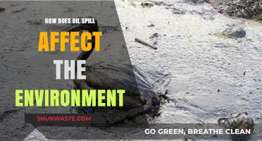 Devastating Impacts: How Oil Spills Destroy Ecosystems and Wildlife