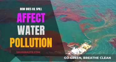 Oil Spill Impact: Water Pollution and its Devastating Effects