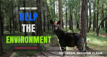 Okapi's Vital Role in Preserving Biodiversity and Ecosystem Health