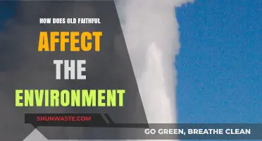 Old Faithful's Environmental Impact: Exploring Geothermal Wonders and Ecosystem Effects