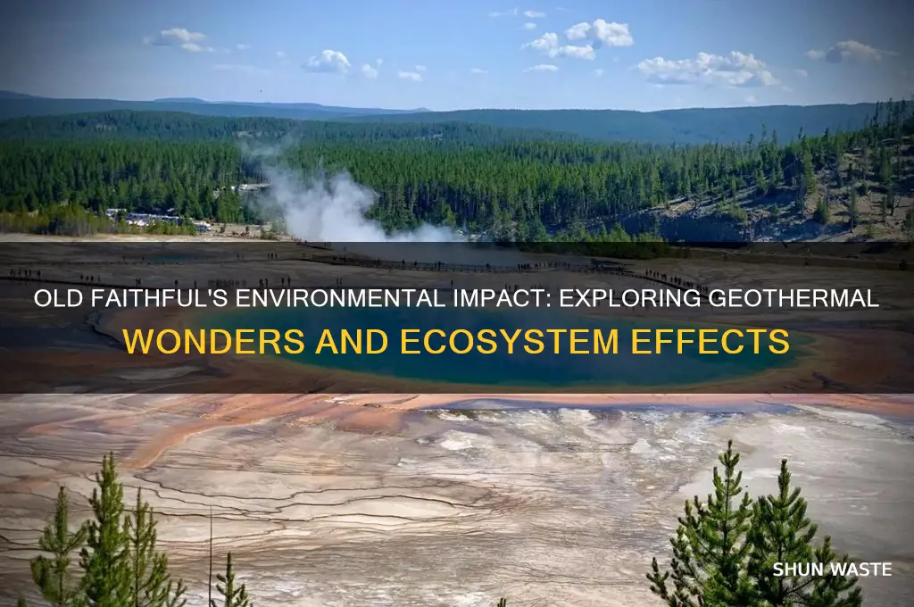 how does old faithful affect the environment