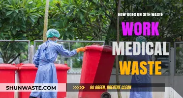 Understanding On-Site Medical Waste Management: Processes, Risks, and Best Practices