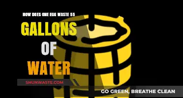 The Hidden Water Footprint: How One Egg Wastes 55 Gallons