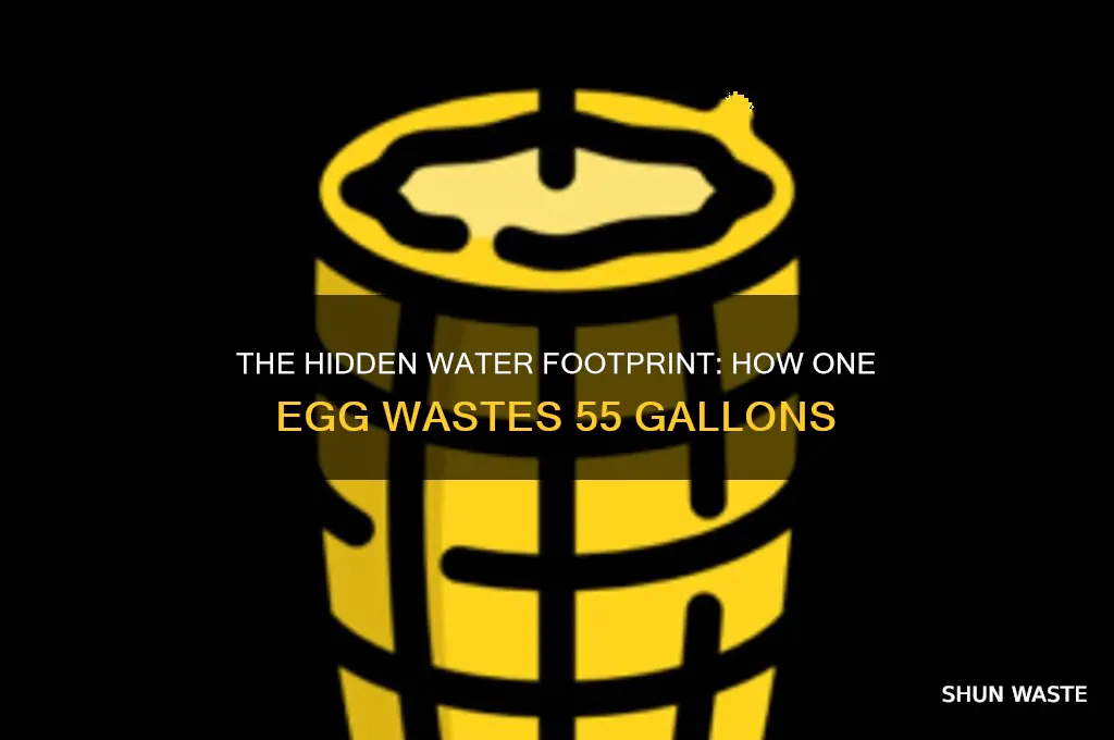 how does one egg waste 55 gallons of water
