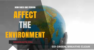 One Person's Impact: How Individual Actions Shape Our Environment