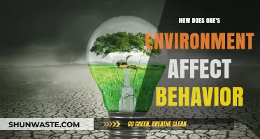 Environment's Impact: Shaping Behavior and Influencing Daily Life Choices