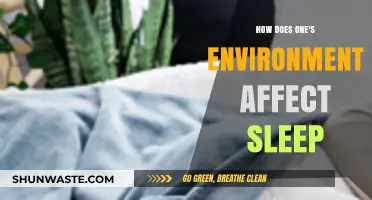 Environmental Factors Shaping Sleep Quality: Insights and Practical Solutions