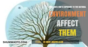 Nature's Embrace: Unveiling the Impact of Outdoor Exposure on Human Well-being