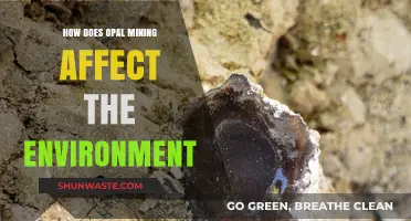 Environmental Impact of Opal Mining: Challenges and Sustainable Solutions