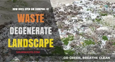 Open Air Waste Dumping: Accelerating Landscape Degradation and Environmental Harm