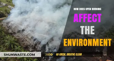 Open Burning's Environmental Impact: Air, Soil, and Climate Consequences