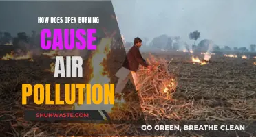 Open Burning's Impact: Unveiling Air Pollution's Hidden Dangers