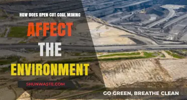 Open Cut Coal Mining's Environmental Impact: Destruction, Pollution, and Ecosystem Loss