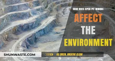 Open Pit Mining's Environmental Impact: Destruction, Pollution, and Ecosystem Loss