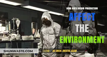 Opioid Production's Hidden Toll: Environmental Impacts and Ecological Consequences