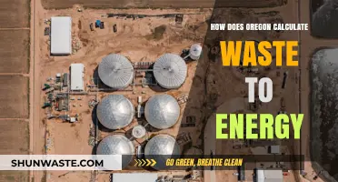 Oregon's Waste-to-Energy Calculation: Methods, Efficiency, and Environmental Impact