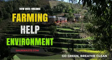 Organic Farming: A Sustainable Solution for Environmental Preservation and Health