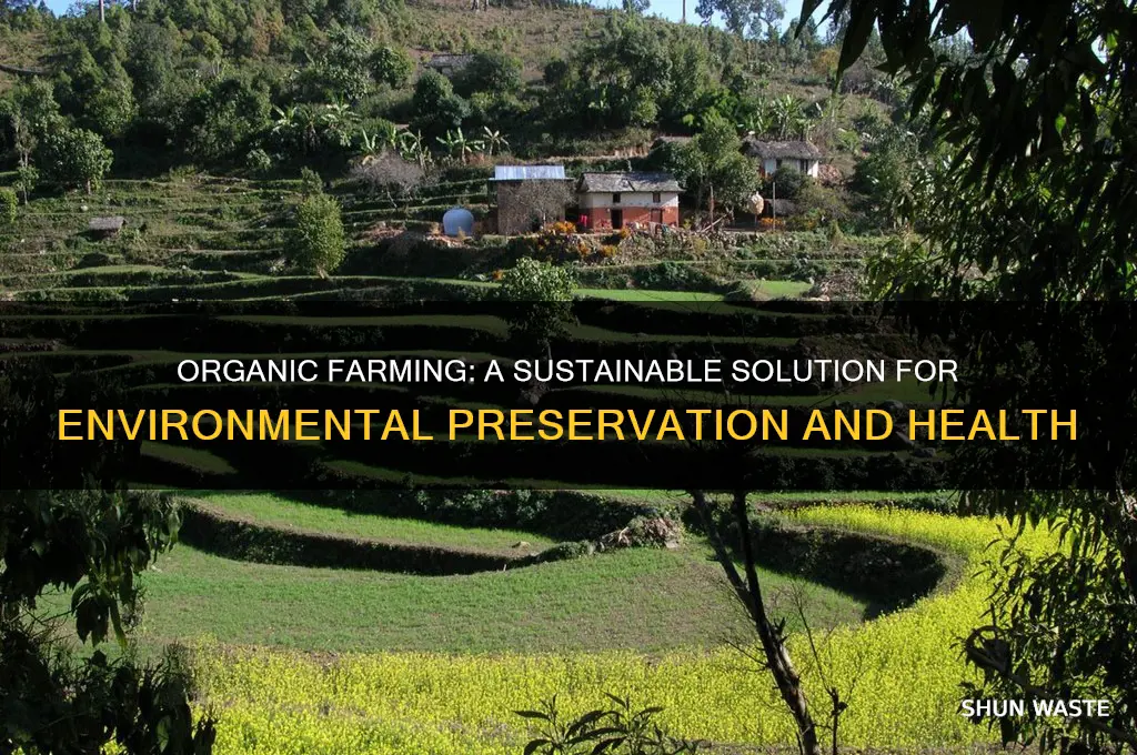 how does organic farming help environment