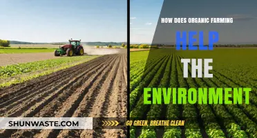 Organic Farming: A Sustainable Solution for Environmental Conservation